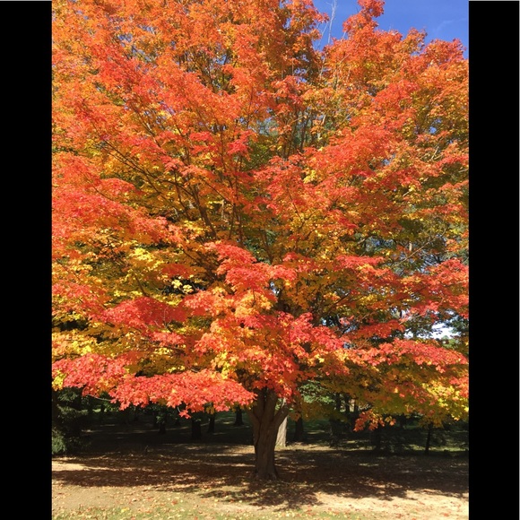 Meet your Posher, Brenda - Picture 2 of 2